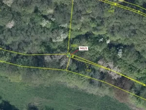 Dražba lesa, Zubrnice, 5 m2