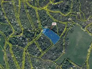 Dražba lesa, Zubrnice, 4610 m2