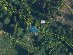 Dražba lesa, Jílové u Držkova, 151 m2