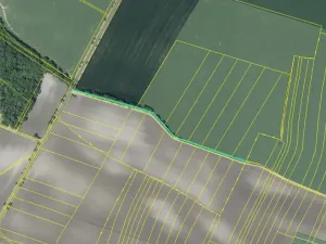 Dražba pole, Chotěšov, 7368 m2