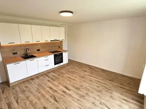 Pronájem bytu 3+kk, Most, Josefa Skupy, 59 m2