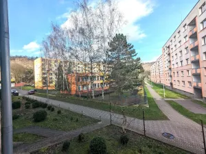 Pronájem bytu 4+1, Ústí nad Labem, Železná, 120 m2
