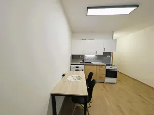 Pronájem bytu 1+kk, Sokolov, Mičurinova, 21 m2