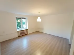 Pronájem bytu 1+1, Most, Konstantina Biebla, 46 m2