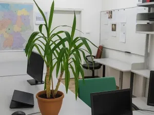 Pronájem kanceláře, Most, Růžová, 12 m2