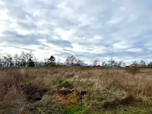 Prodej zahrady, Nové Strašecí, Sukova, 934 m2