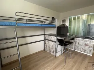 Pronájem bytu 1+kk, České Budějovice, Puklicova, 25 m2