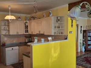 Prodej rodinného domu, Boršice, 280 m2