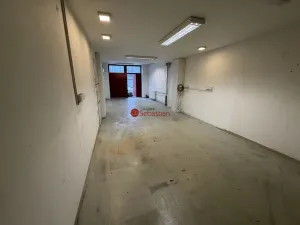 Pronájem komerční nemovitosti, Praha - Žižkov, Hartigova, 40 m2