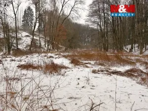 Prodej rybníku, Dolní Hořice - Pořín, 8552 m2