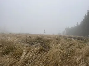 Prodej lesa, Městečko Trnávka - Lázy, 32904 m2