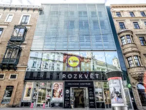 Pronájem bytu 2+kk, Brno - Brno-město, Panská, 70 m2