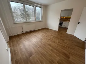 Pronájem bytu 2+1, Paskov, Papírenská, 45 m2