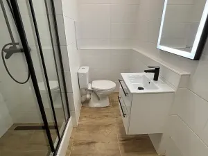 Pronájem bytu 2+1, Paskov, Papírenská, 45 m2