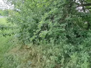 Prodej pozemku pro bydlení, Úpohlavy, 1074 m2