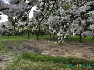 Prodej pozemku pro bydlení, Bílé Poličany, 2980 m2