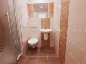 Pronájem bytu 2+kk, Litoměřice, Revoluční, 42 m2