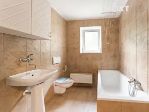 Pronájem rodinného domu, Olšany, 219 m2