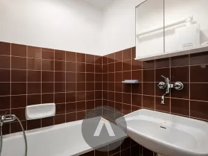 Pronájem bytu 2+1, Brno, Botanická, 86 m2