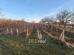 Prodej pozemku, Kobylí, 3139 m2