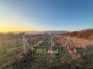 Prodej pozemku, Kobylí, 3139 m2