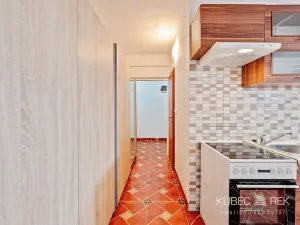 Pronájem bytu 1+1, Nová Včelnice, Na Hliněnce, 43 m2