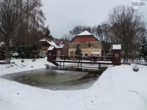 Prodej rodinného domu, Velemín - Milešov, 255 m2