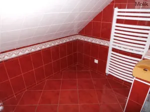 Prodej rodinného domu, Velemín - Milešov, 255 m2