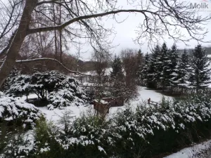 Prodej rodinného domu, Velemín - Milešov, 255 m2