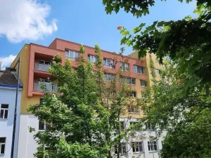 Pronájem bytu 1+kk, Praha - Michle, Jemnická, 27 m2