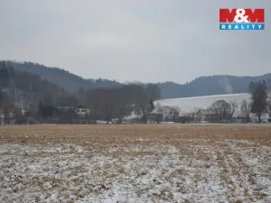 Prodej louky, Náchod - Běloves, 20495 m2