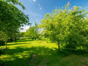 Prodej činžovního domu, Frýdek-Místek, Panské Nové Dvory, 445 m2