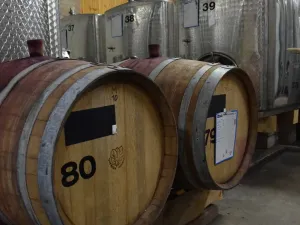 Prodej rodinného domu, Moravská Nová Ves, Pod Kostelem, 108 m2