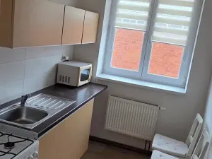 Pronájem bytu 2+1, Brno, Náplavka, 53 m2