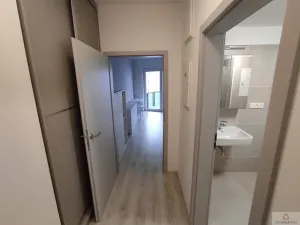 Pronájem bytu 1+kk, Olomouc, Wolkerova, 26 m2