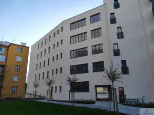 Pronájem bytu 1+kk, Olomouc, Wolkerova, 26 m2