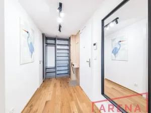 Pronájem bytu 1+kk, Brno, Nové sady, 54 m2