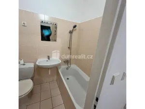 Pronájem bytu 2+1, Cheb, Hálkova, 52 m2