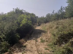 Prodej pole, Úterý, 34244 m2