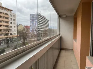 Pronájem bytu 1+kk, Pardubice - Zelené Předměstí, Palackého třída, 37 m2
