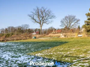 Prodej pozemku pro bydlení, Nový Vestec, 1232 m2
