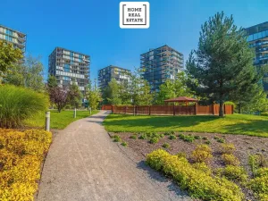 Pronájem bytu 1+kk, Praha - Žižkov, Pitterova, 47 m2