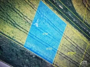 Prodej pole, Přehýšov, Přehýšov, 787 m2