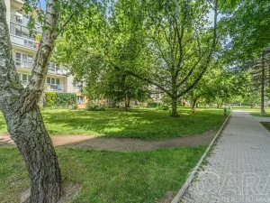 Pronájem bytu 3+kk, Kladno, Bělehradská, 53 m2