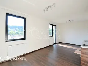 Pronájem bytu 1+kk, Praha - Jinonice, Barvitiova, 38 m2