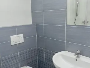 Pronájem bytu 2+kk, Praha - Žižkov, Fibichova, 60 m2