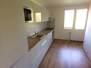 Pronájem rodinného domu, Holubice, 171 m2