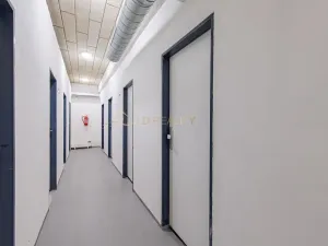 Pronájem bytu 2+kk, Olomouc, Věry Pánkové, 60 m2