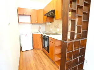 Pronájem bytu 1+kk, Beroun, U Židovského hřbitova, 41 m2