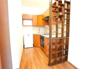 Pronájem bytu 1+kk, Beroun, U Židovského hřbitova, 41 m2